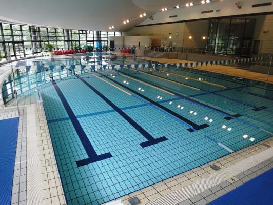 64ed3e_a1ef9f7223bf48ceafa7c8c25c1f8a72~mv2